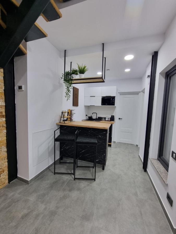 Casa Chiper - Apartament Parter 布拉索夫 外观 照片